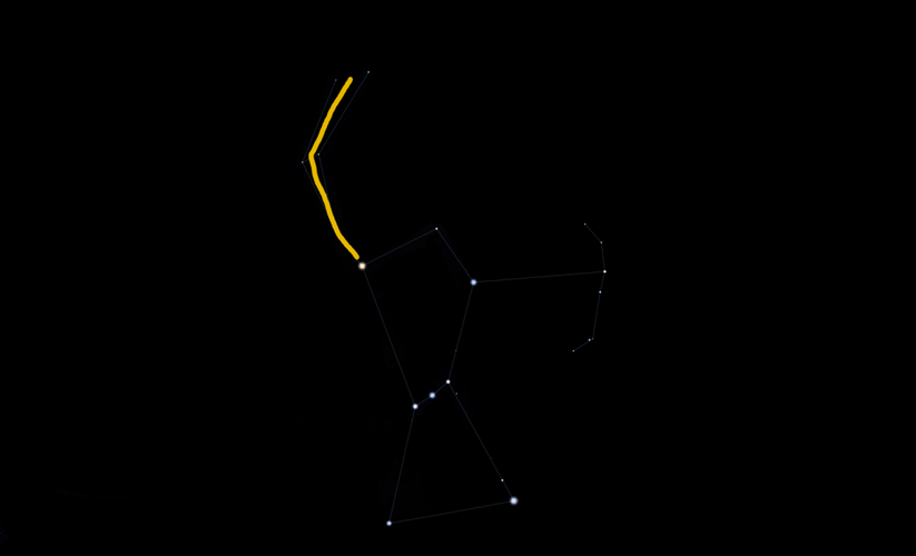 Orions
                        klubba